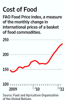 food-chart.jpg