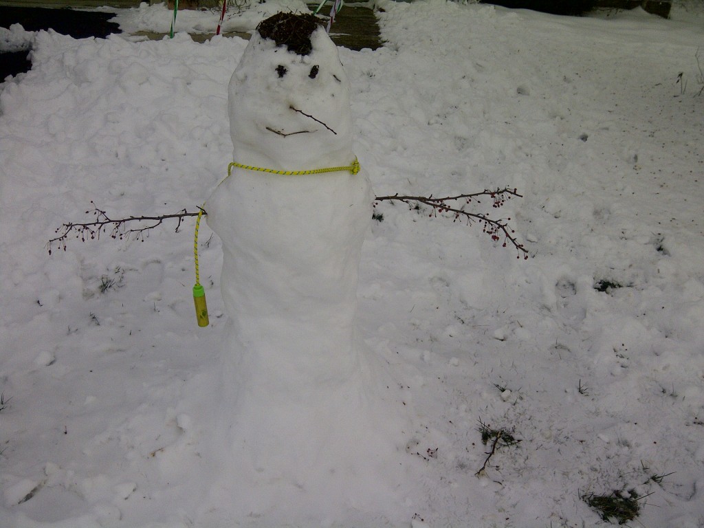 Snowman-2012