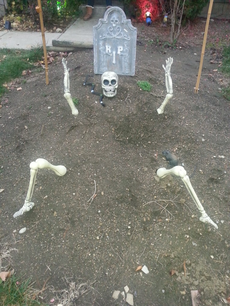 Skeleton in Grave
