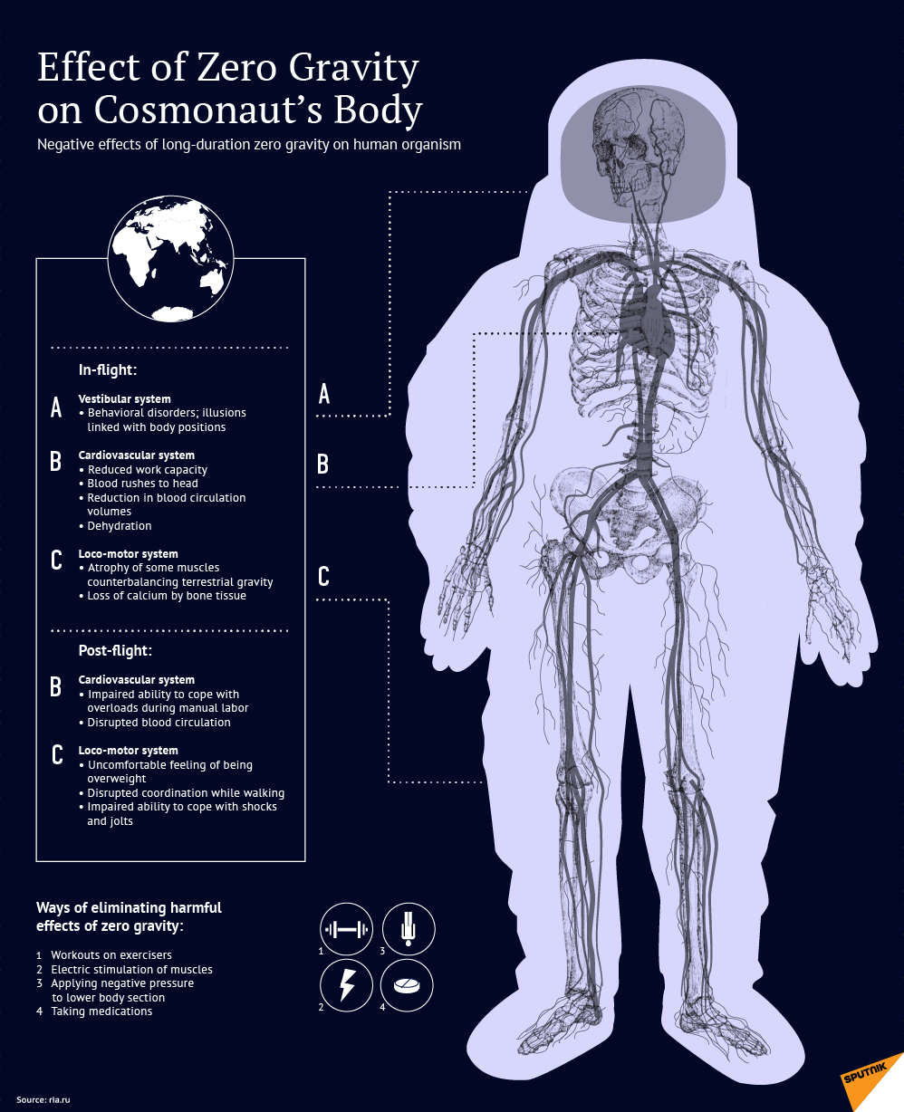 infographic-effects-of-zero-gravity-on-human-body-topforeignstocks