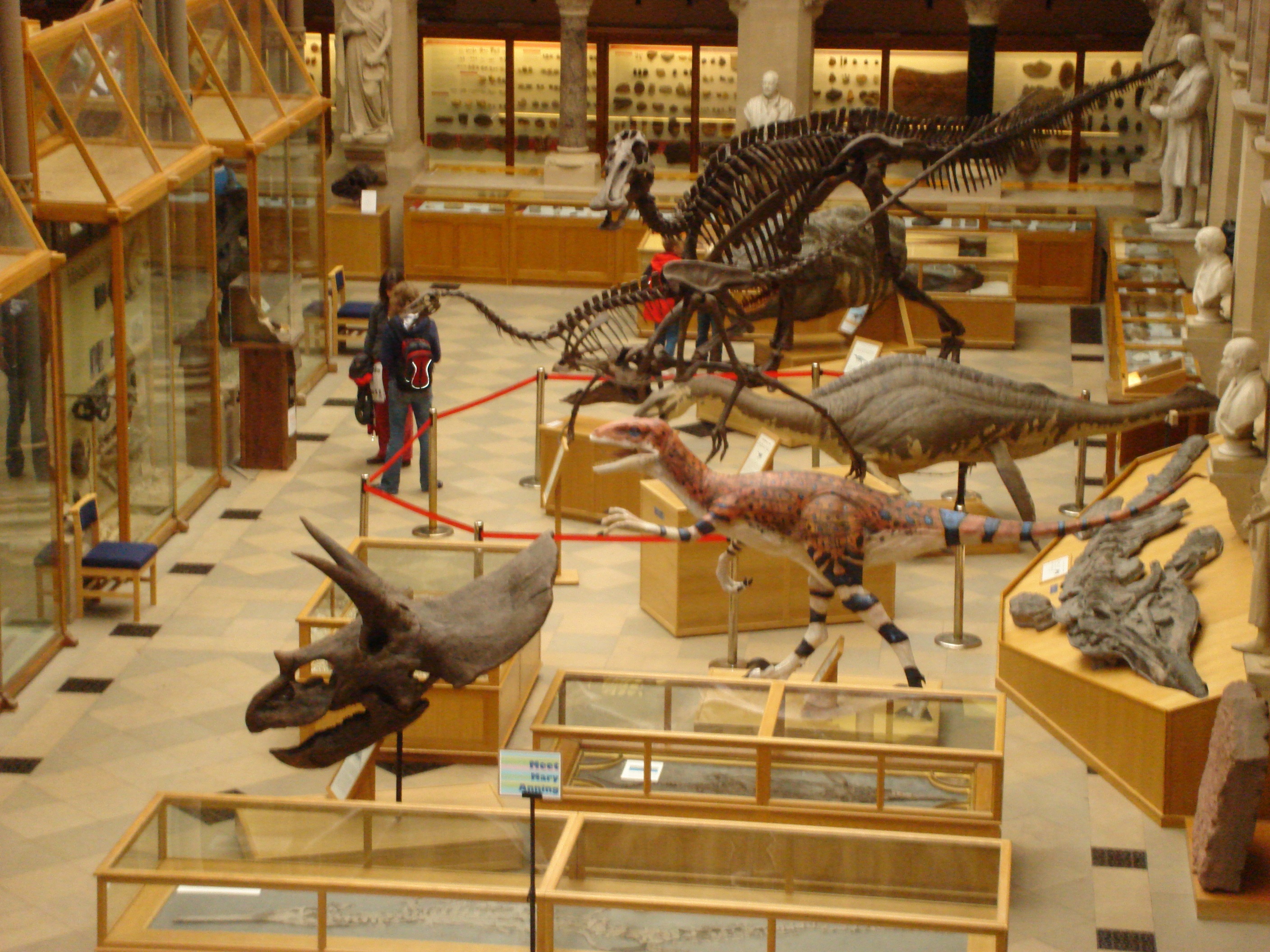 Dinosaurs in Oxford University Museum