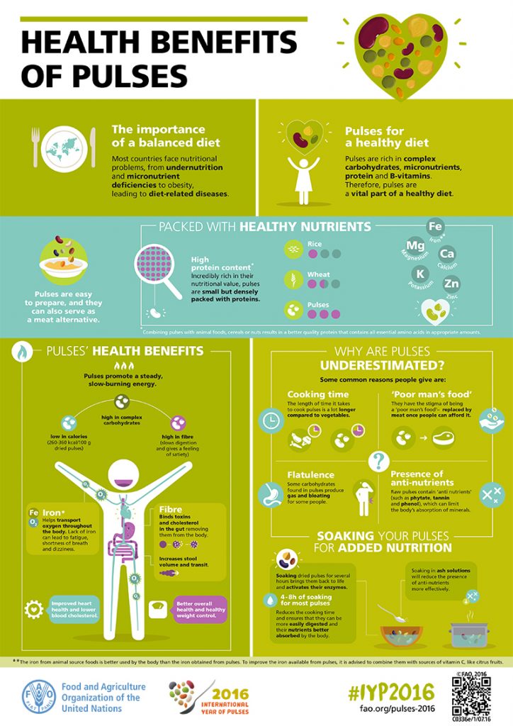 Infographic Health Benefits Of Pulses