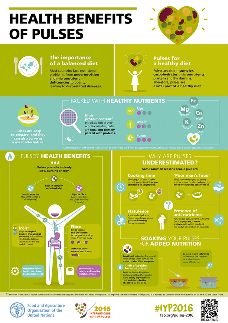 Infographic Health Benefits Of Pulses