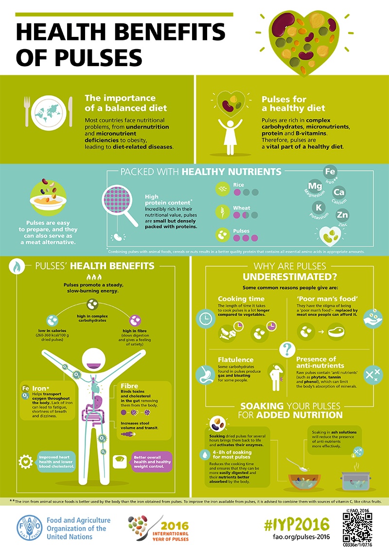 FAO-Infographic-IYP2016-3-Health Benefits of Pulses-high-res-en