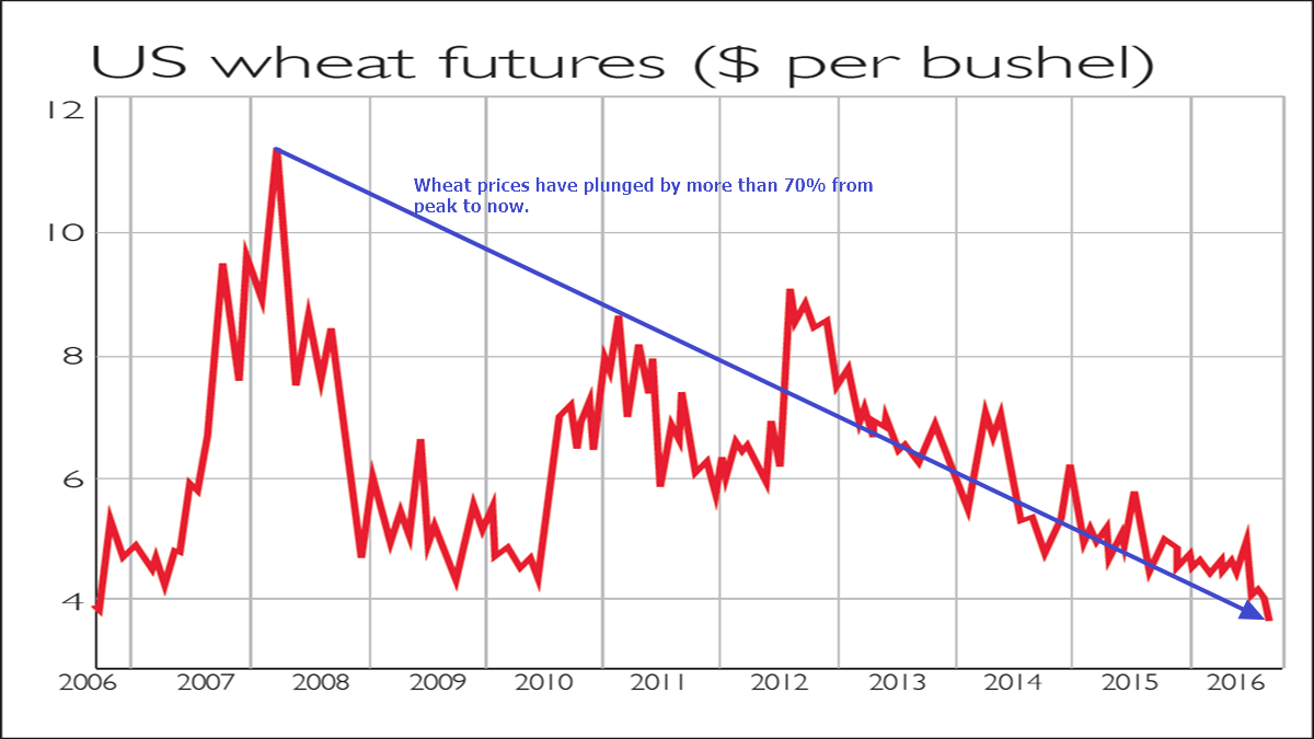 An Example of Why Investing in Commodities is Highly Risky