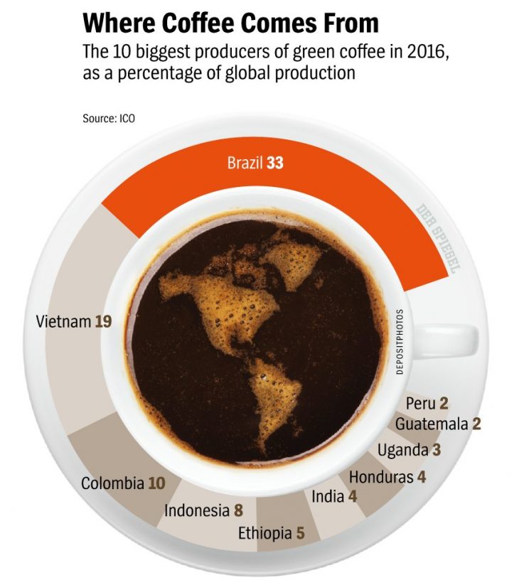 The Top 10 Coffee Producing Countries