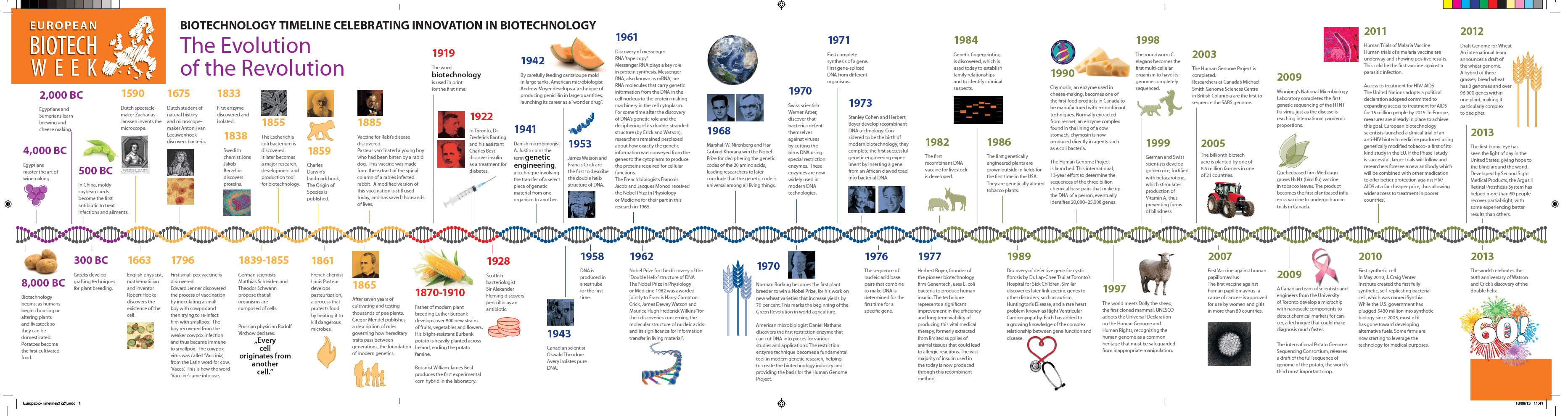 phd biotechnology how many years