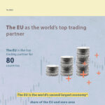 The Euro in the World: Infographic