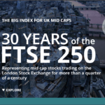 30 Years of the FTSE 250: Infographic